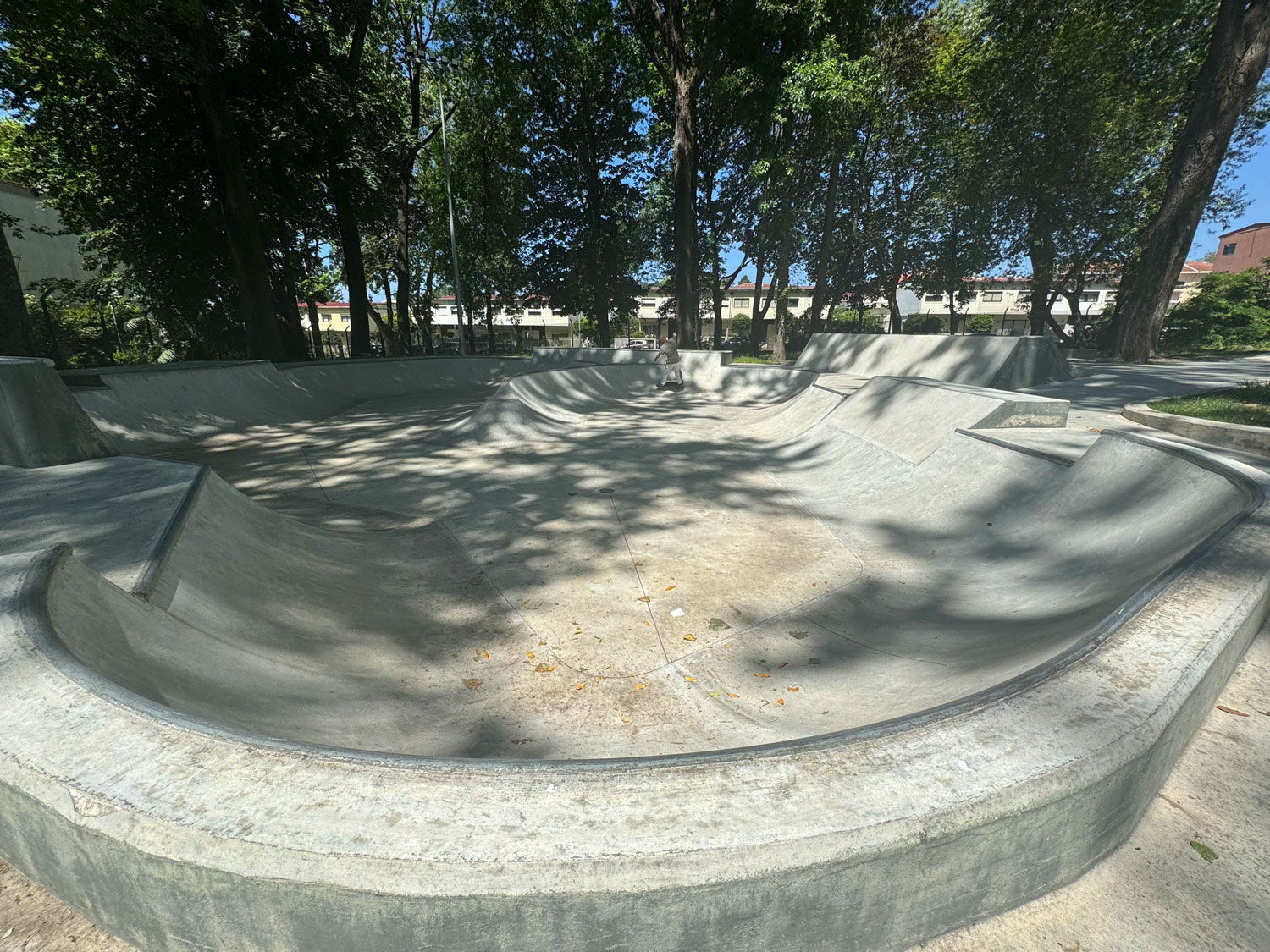 06